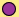 viola2.png viola2.png