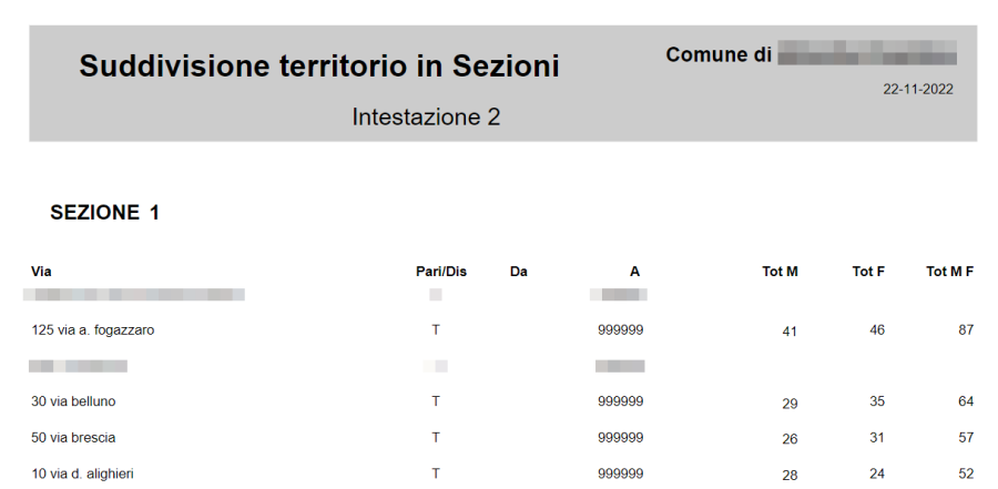 suddivisione_territorio_in_sezioni_report.png