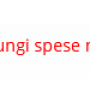 sel_stampa_3.png