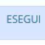 esegui_190.png