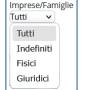 cds_statistichegenerali_colonnafiltri_dett_9_imprese_e_famiglie.jpg